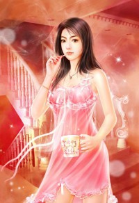 襄阳战记