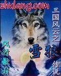 三国风云之雪狼传说