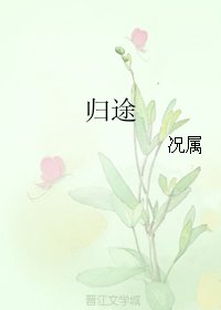 归途