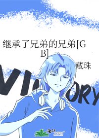继承了兄弟的兄弟 [GB]